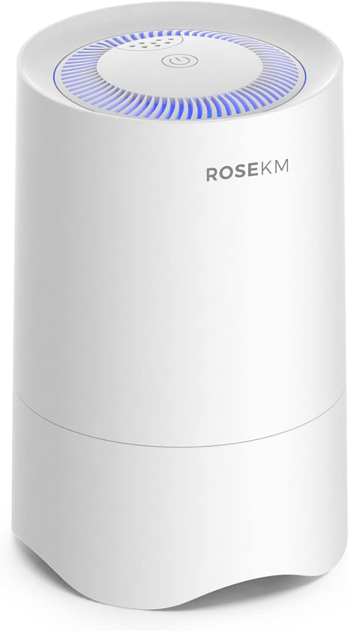 تصفیه هوا ROSEKM مدل AP001R