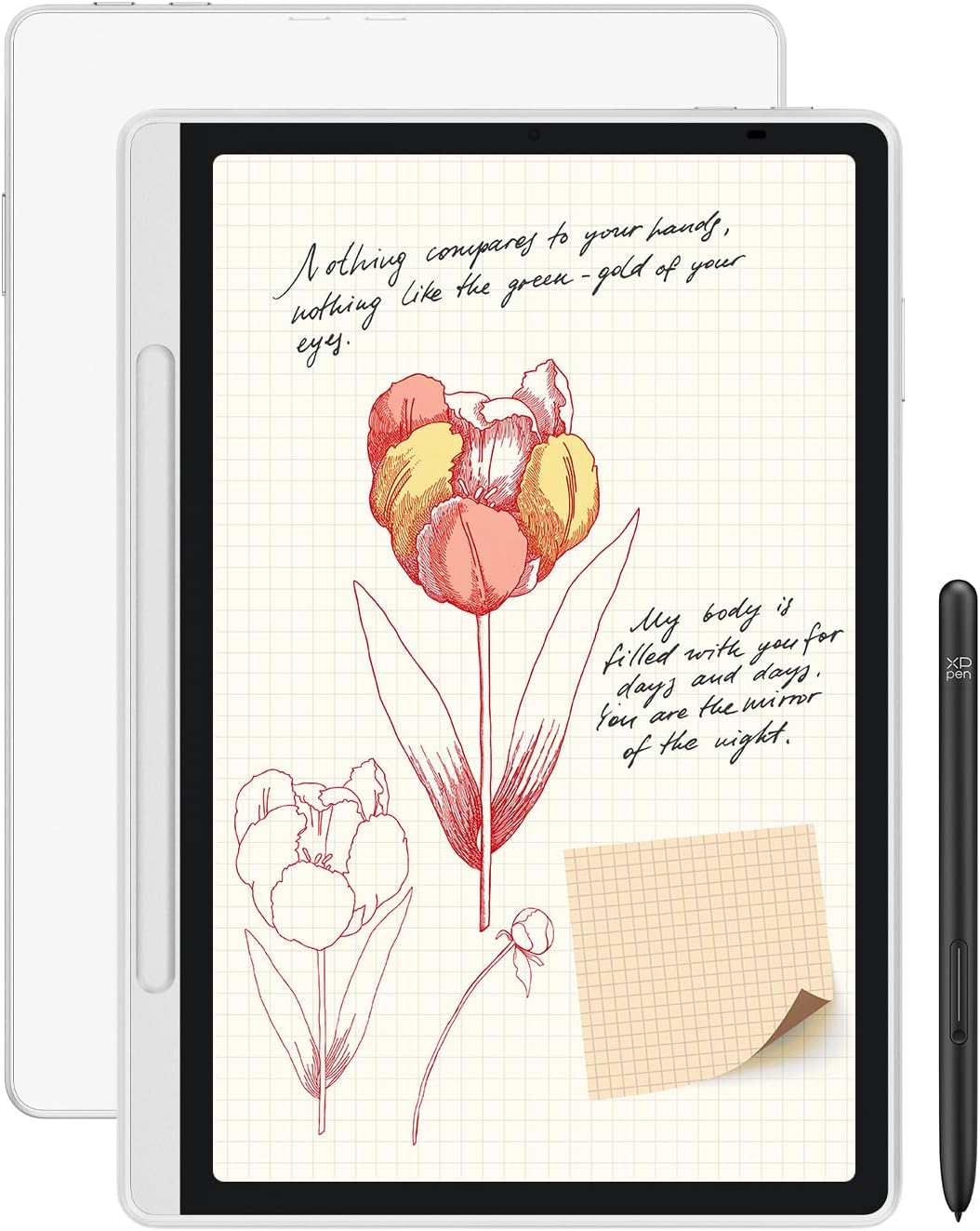 دفتر یادداشت دیجیتال رنگی XPPen